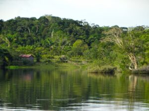 Leia mais sobre o artigo BNDES lança edital de R$ 26,7 mi para restauro ecológico na bacia do Xingu