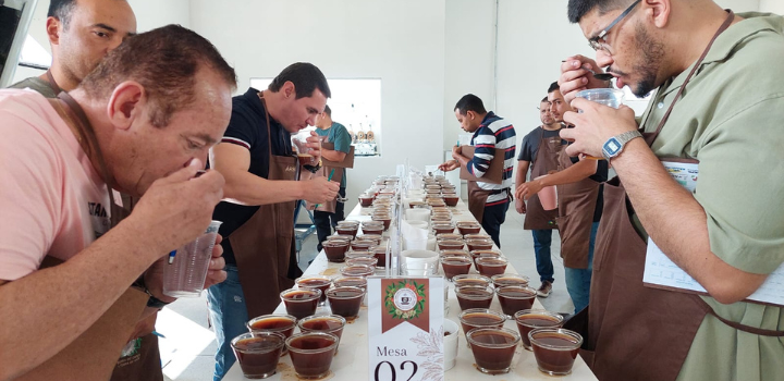 Concurso de Qualidade do Café de Barra do Choça impulsiona excelência na produção