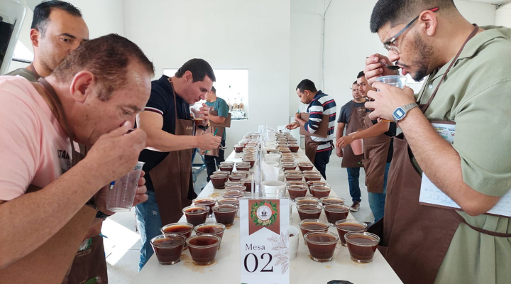 Você está visualizando atualmente Concurso de Qualidade do Café de Barra do Choça impulsiona excelência na produção