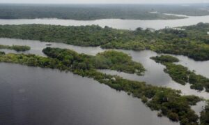 Leia mais sobre o artigo Taxa de desmatamento na Amazônia cai 22,3% em 2023