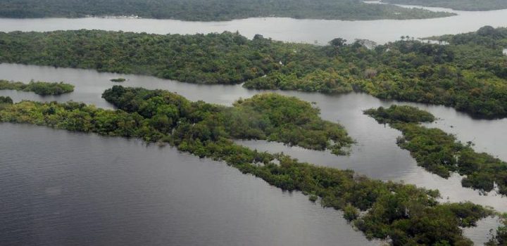 Taxa de desmatamento na Amazônia cai 22,3% em 2023