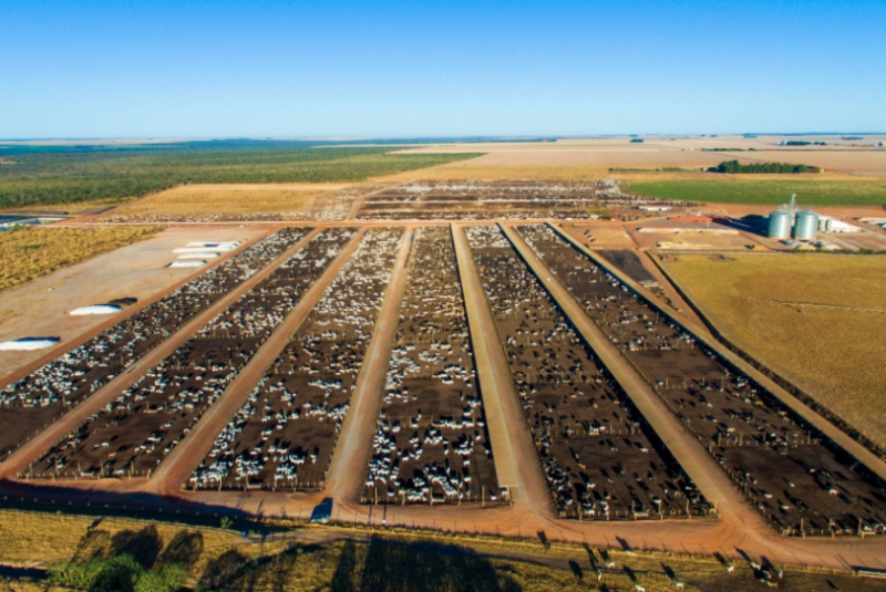 Você está visualizando atualmente Com 50 mil cabeças de gado, estado da Bahia abriga o maior confinamento bovino do Nordeste