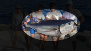 Leia mais sobre o artigo Brasil vai ao Egito defender sua cota de captura de atuns