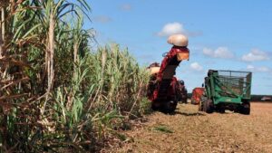 Leia mais sobre o artigo Cerca de 11 municípios baianos estão entre os 37 municípios que geram 50% da riqueza do Nordeste