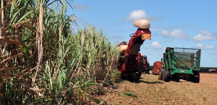 Cerca de 11 municípios baianos estão entre os 37 municípios que geram 50% da riqueza do Nordeste