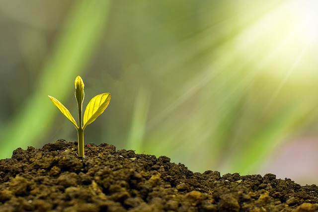 Você está visualizando atualmente Estoque de Cédulas de Produto Rural alcançam em janeiro R$ 309 bilhões