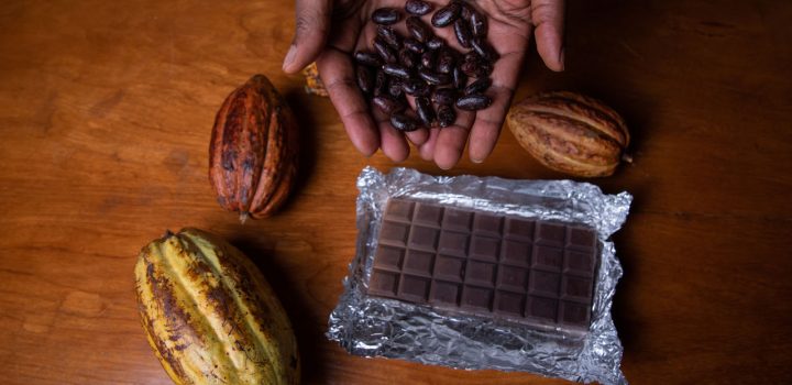 Empresas de cacau e chocolates podem se inscrever para rodada de negócios