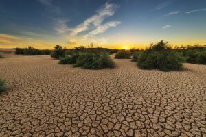 Leia mais sobre o artigo Chegada do La Niña acende alerta sobre secas