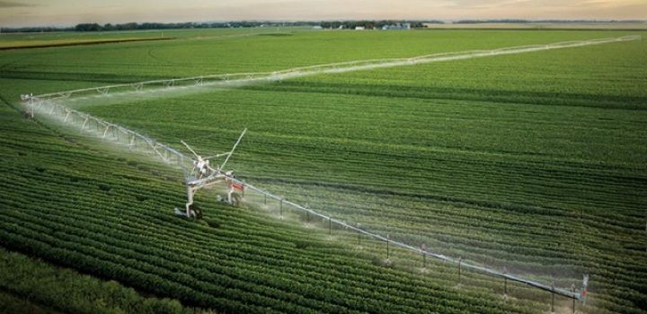 Oeste da Bahia bate recorde de produtividade com irrigação