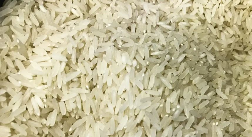 Você está visualizando atualmente Conab compra 263,3 mil/ton de arroz importado em leilão