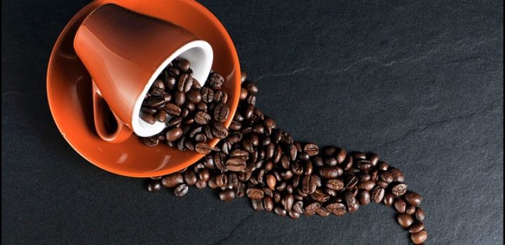 Sexta edição do Avança Café será lançada na Expocafé 2024