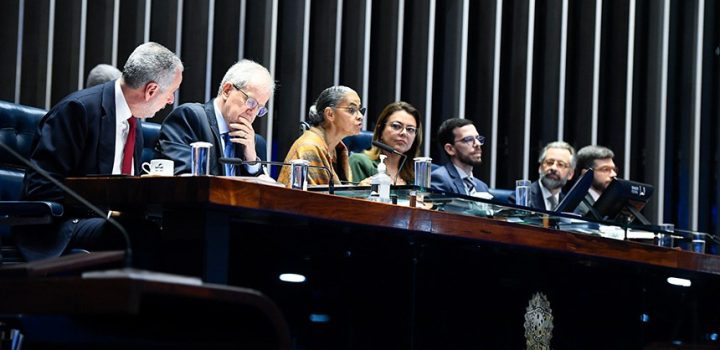 G20: sessão aponta oportunidade para pautar agendas ambiental e social