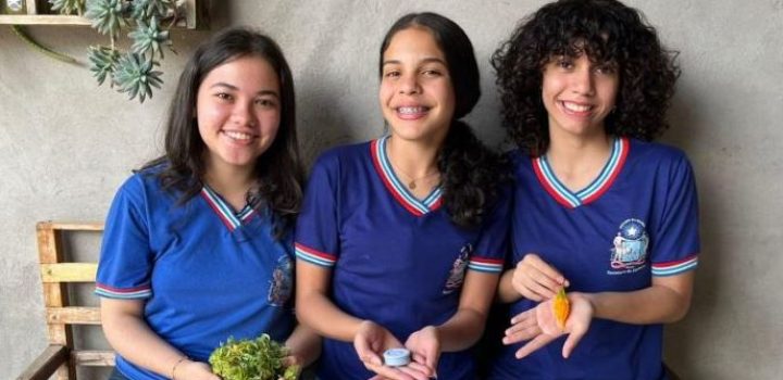 Estudantes usam planta melão para criar sabonete contra pulgas