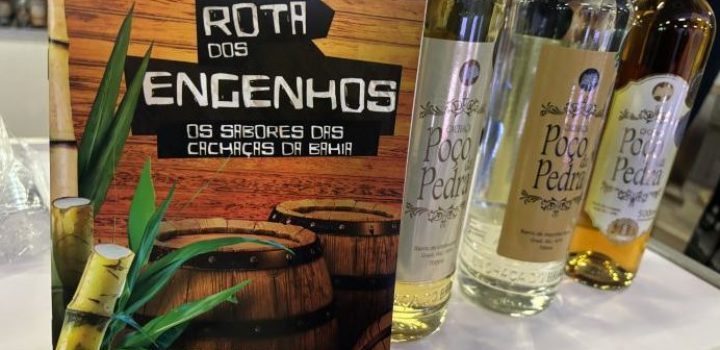 Setur-BA apoia curso de sommelier para promover a cachaça