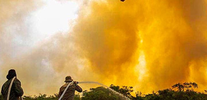 MP libera R$ 137,6 milhões para combate a queimadas no Pantanal