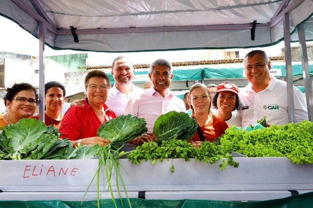 Você está visualizando atualmente Governo sanciona Lei  da Agroecologia