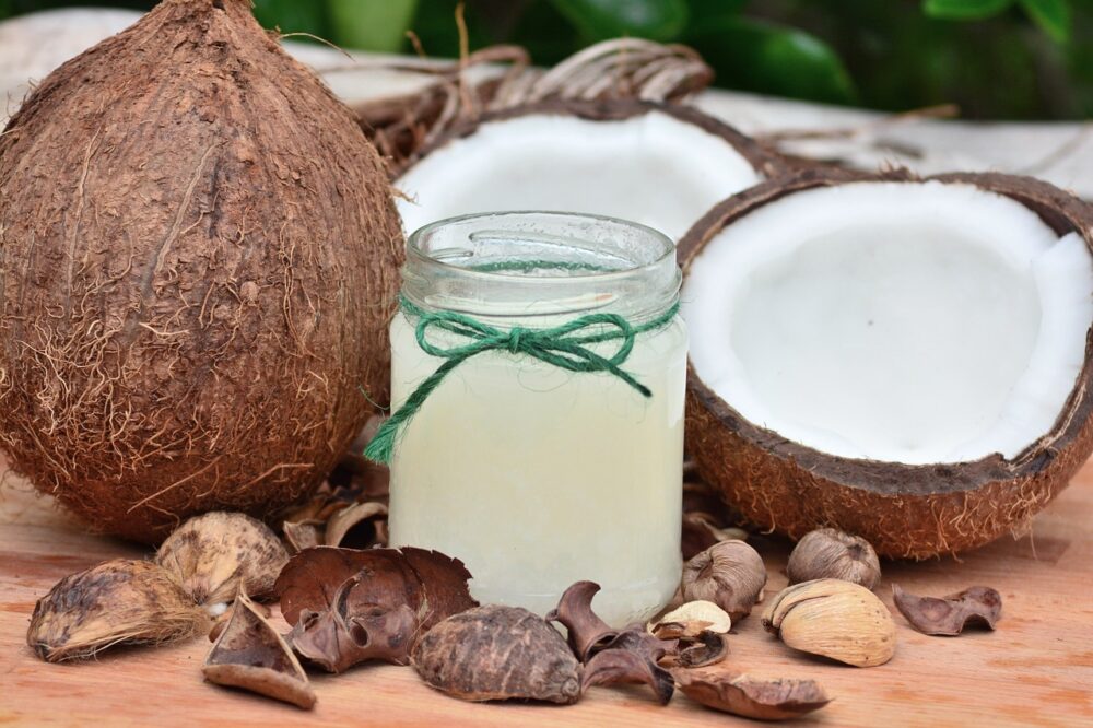 Lei que incentiva a produção de coco no país é sancionada