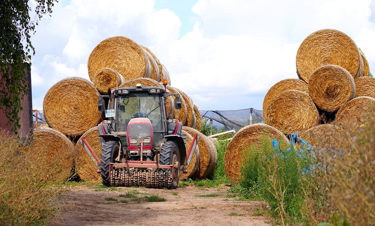 Você está visualizando atualmente Abertura de mercados no Canadá para exportação de feno e fibra de coco do Brasil