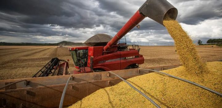 Produção de grãos atingirá 379 mi/ton nos próximos 10 anos