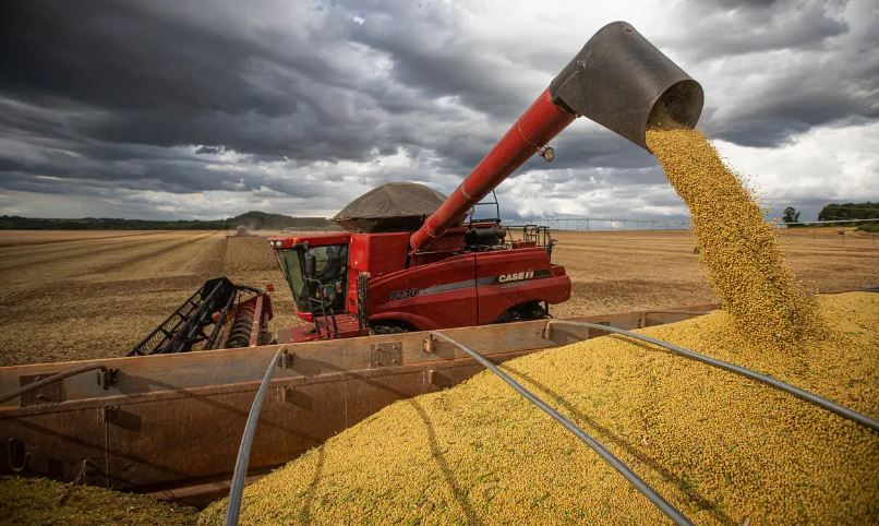 Produção de grãos atingirá 379 mi/ton nos próximos 10 anos