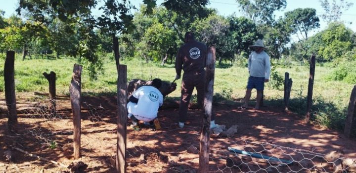 Adab atua na prevenção da Peste Suína