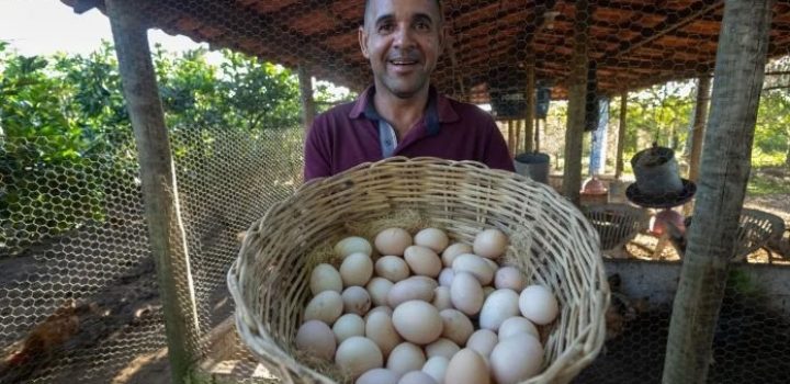 Cesta Básica de Salvador apresenta alta de 0,30% em fevereiro