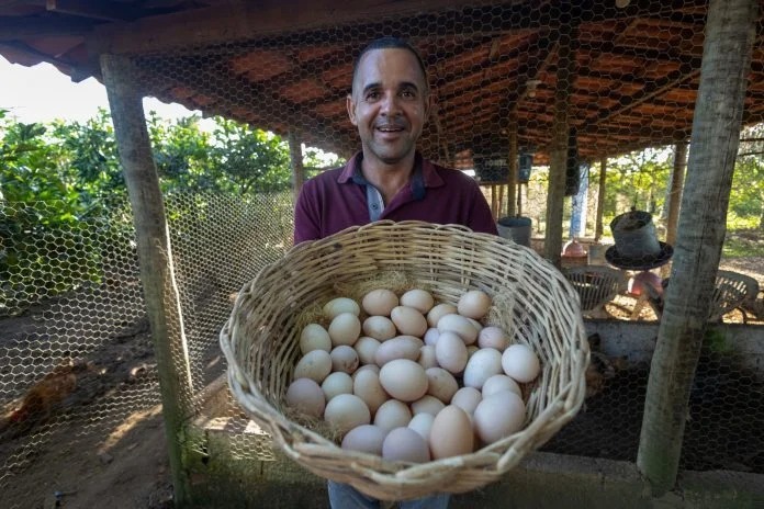 Cesta Básica de Salvador apresenta alta de 0,30% em fevereiro<br>