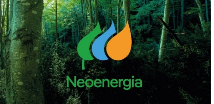 Neoenergia conquista 2ª posição no Índice de Sustentabilidade Empresarial