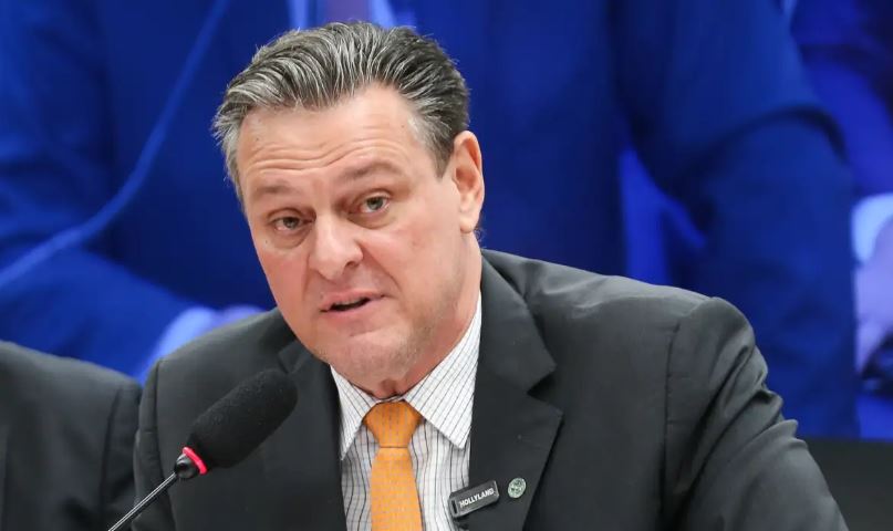 Você está visualizando atualmente Gripe aviária não deve impactar preço da carne de frango, diz ministro