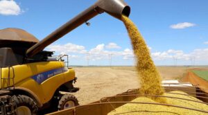 Leia mais sobre o artigo Puxado pela Agropecuária, PIB avança 1,4% no primeiro trimestre