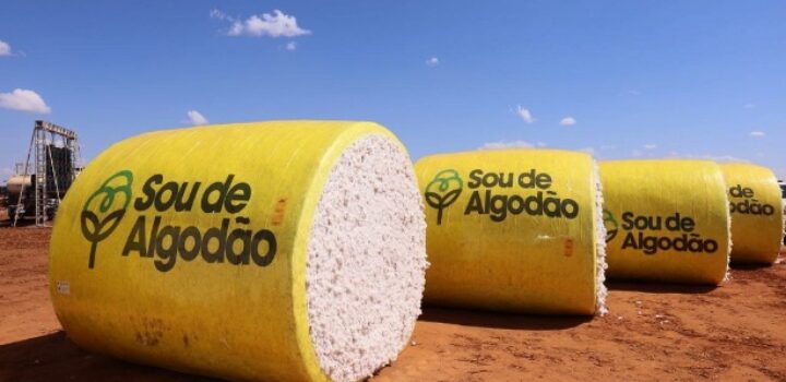 Estimativas positivas para safra de grãos em 2025, confirmam IBGE e Conab