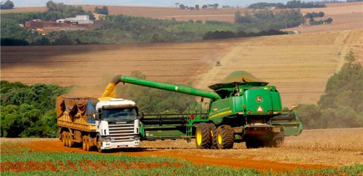 Estimativa de maio aponta safra recorde de 332,6 milhões de toneladas em 2025, alta de 13,6%