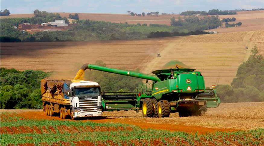 Estimativa de maio aponta safra recorde de 332,6 milhões de toneladas em 2025, alta de 13,6%