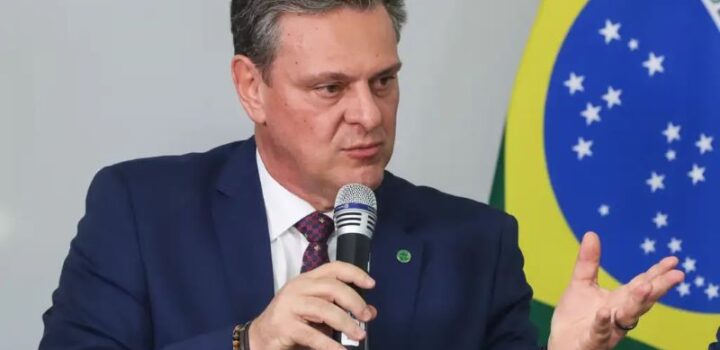 Brasil comunica à OMSA o fim do vazio sanitário e se autodeclara livre da gripe aviária