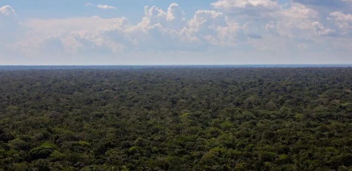 Organizações sociais propõem plano para investimentos na Amazônia