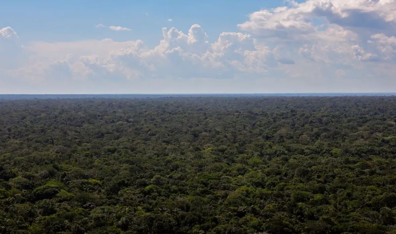 Organizações sociais propõem plano para investimentos na Amazônia