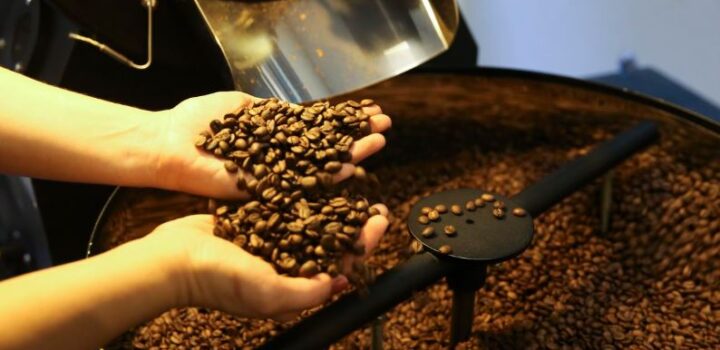 Setor cafeeiro pode ser forçado a redirecionar produção, diz Cepea/USP