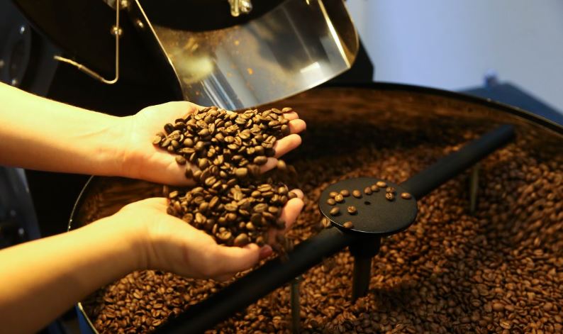 Setor cafeeiro pode ser forçado a redirecionar produção, diz Cepea/USP