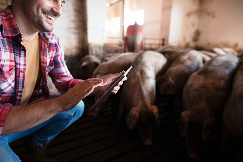Você está visualizando atualmente Edital da ABDI e SiDi seleciona startups do Nordeste com foco em tecnologia para o agronegócio