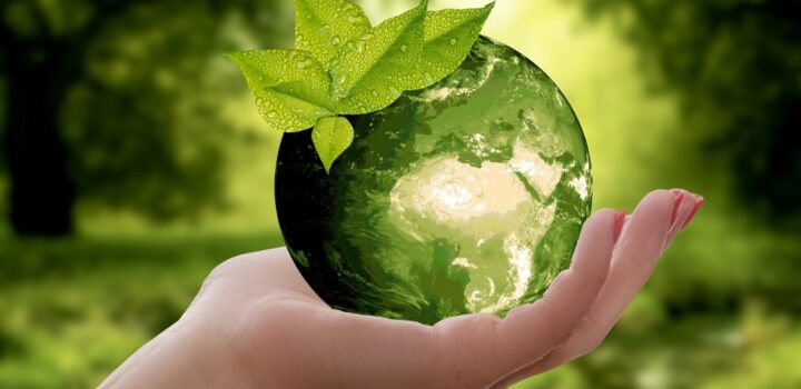 CAIXA prorroga prazo de editais do Fundo Socioambiental