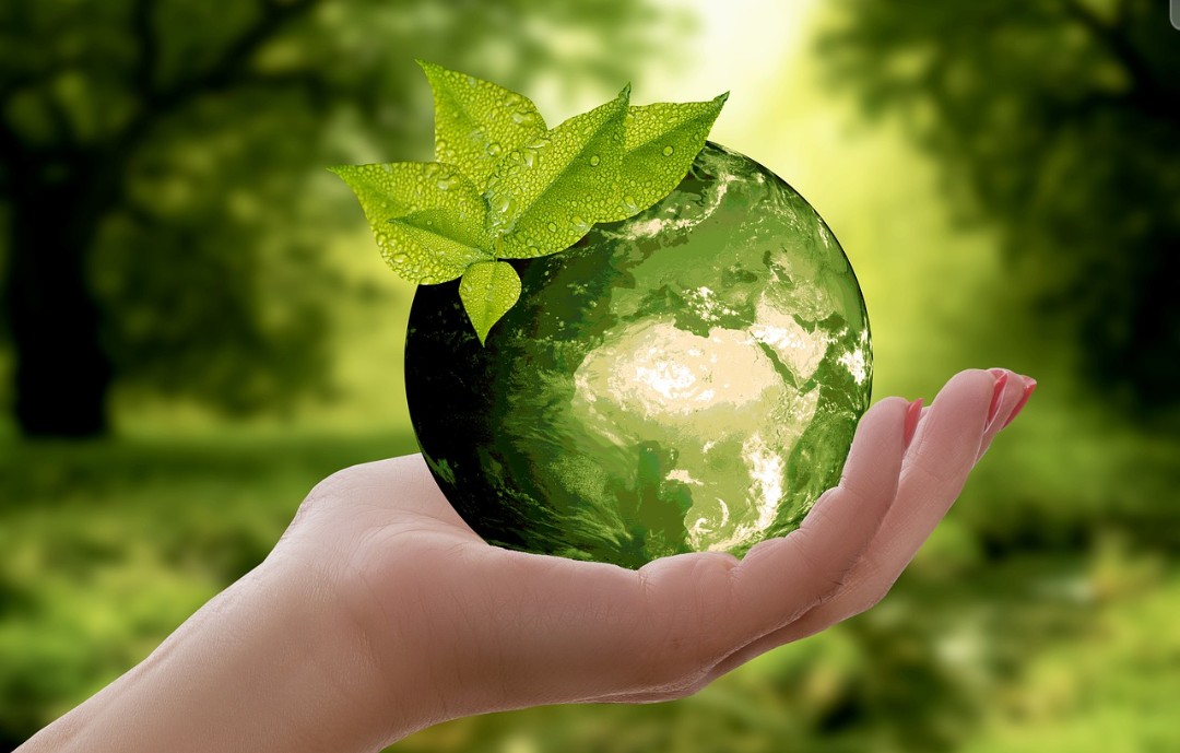 CAIXA prorroga prazo de editais do Fundo Socioambiental