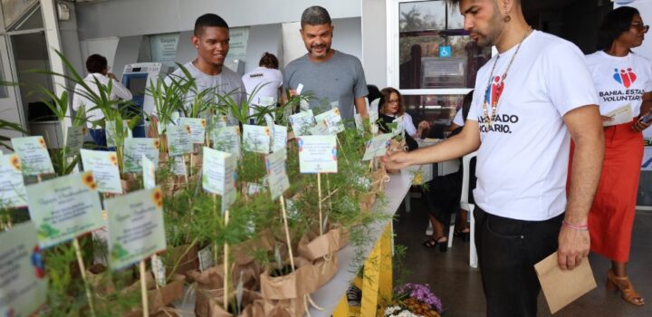 Programa de voluntariado completa seis anos com a adesão de 29 mil baianos