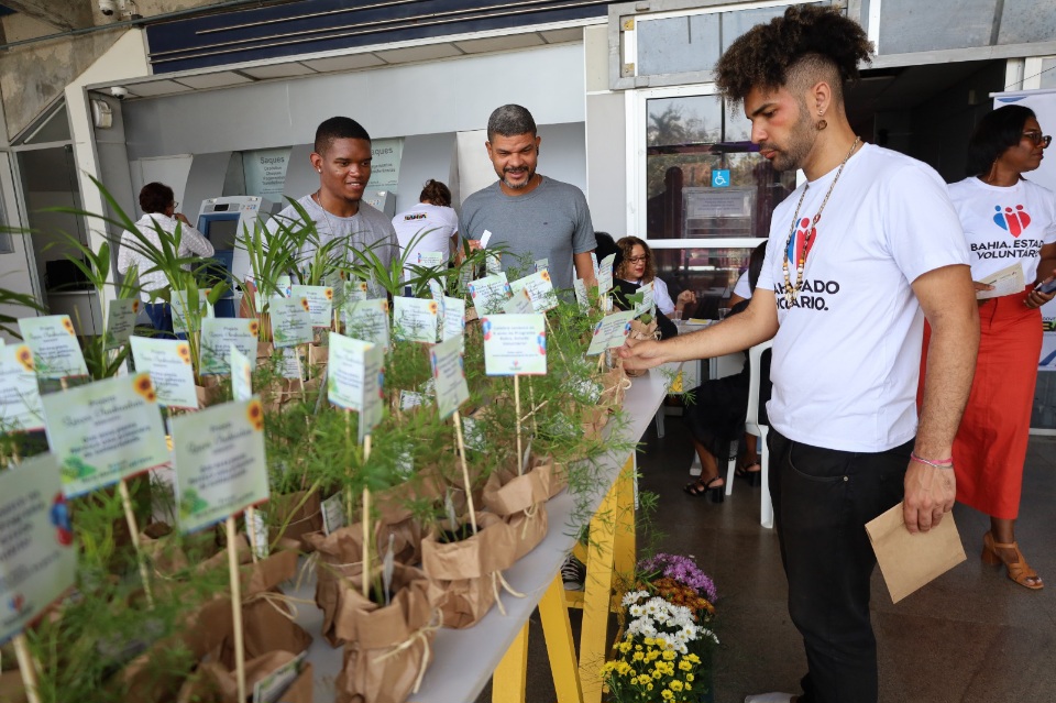 Programa de voluntariado completa seis anos com a adesão de 29 mil baianos