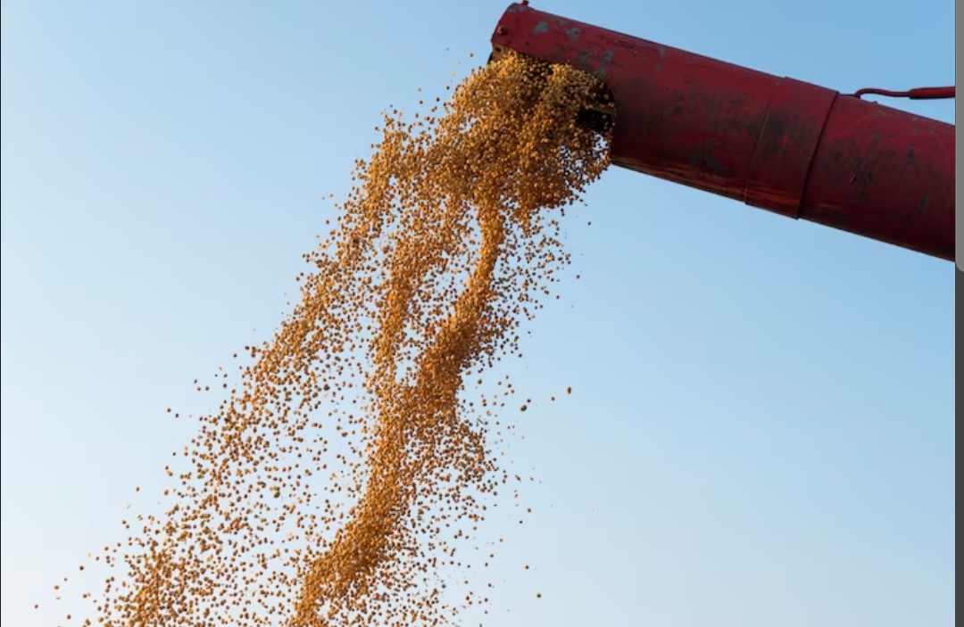 No oeste baiano, competição inédita impulsiona produtividade da soja