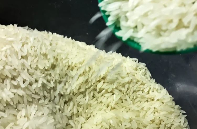 Governo brasileiro anuncia R$ 300 milhões para apoiar produtores de arroz da Safra 2025/2026