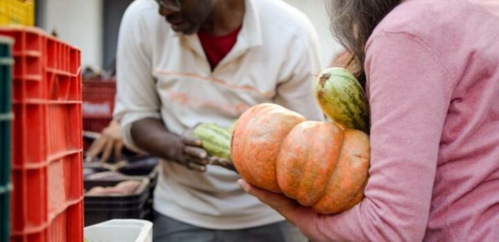 MDS aprova estratégia para reduzir perdas e desperdícios de alimentos