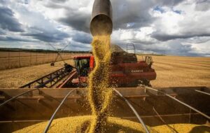 Leia mais sobre o artigo Bahia amplia produtividade para 13,88 mi/ton