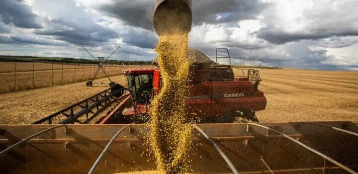 Brasil atinge recorde na colheita de grãos, com 350,2 milhões de toneladas na safra 2024/25