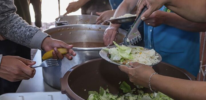 Mais de dois milhões de lares saem da insegurança alimentar em 2024