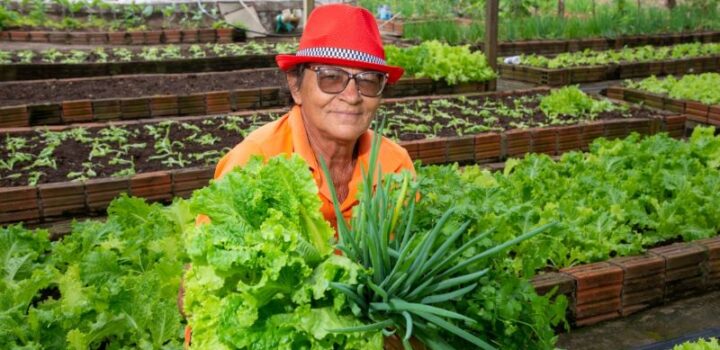 Iniciativas do Semiárido baiano serão destaque na COP-30